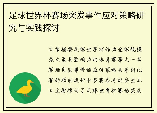 足球世界杯赛场突发事件应对策略研究与实践探讨